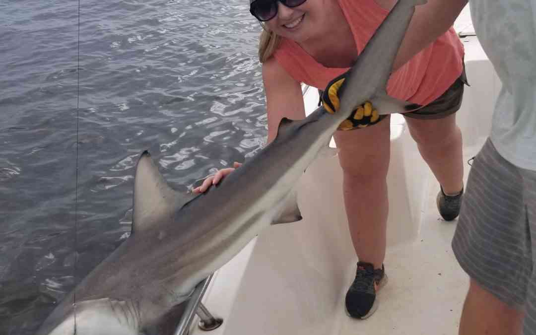 a fisherman with a shark