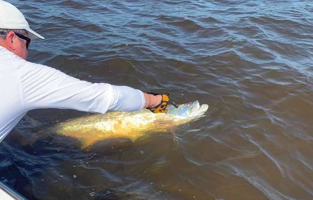 a fisherman with a tarpon