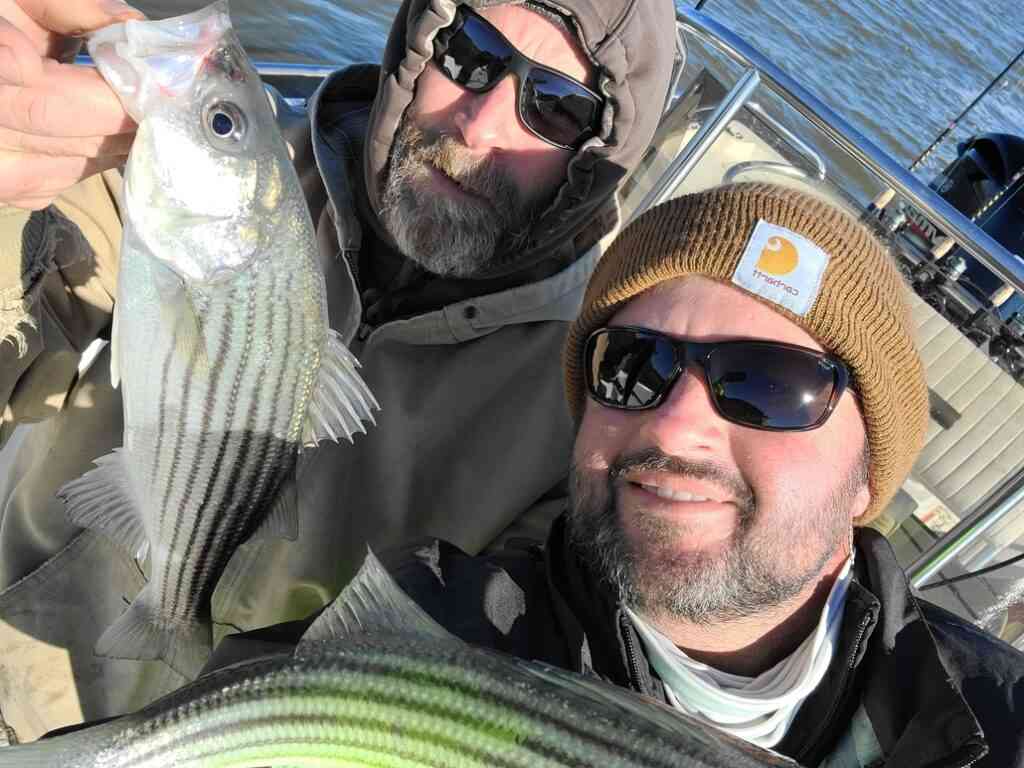 fishermen with two striped bass