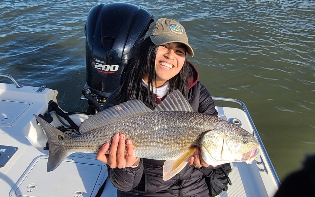 November Redfish and Trout Report