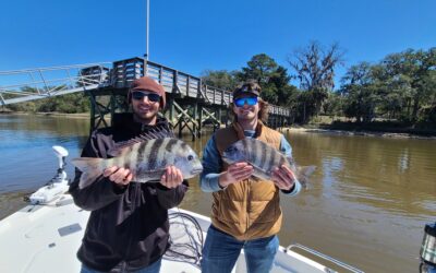 What Fish Can You Catch in Myrtle Beach in March?