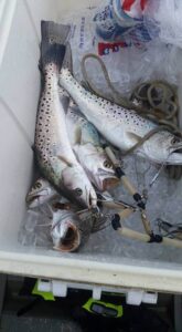 a picture of Finding the Best Myrtle Beach Fishing Charter with Harvest Moon Fishing Charters