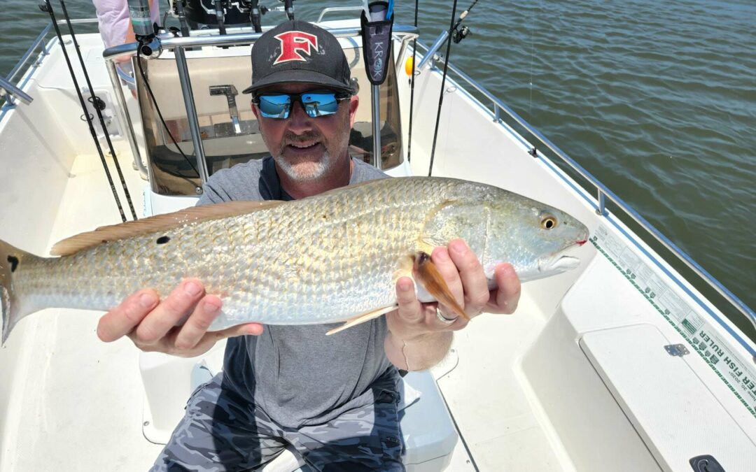 Murells Inlet Inshore Fishing Charters In July 2022