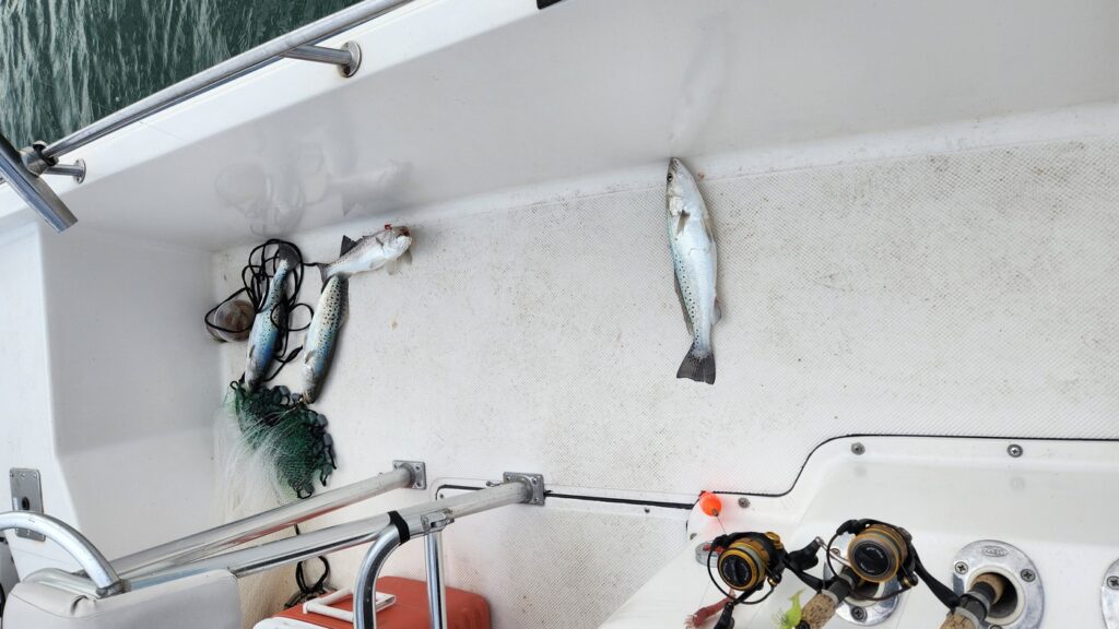 a picture of Nearshore Winter Scouting Report with Harvest Moon Fishing Charters