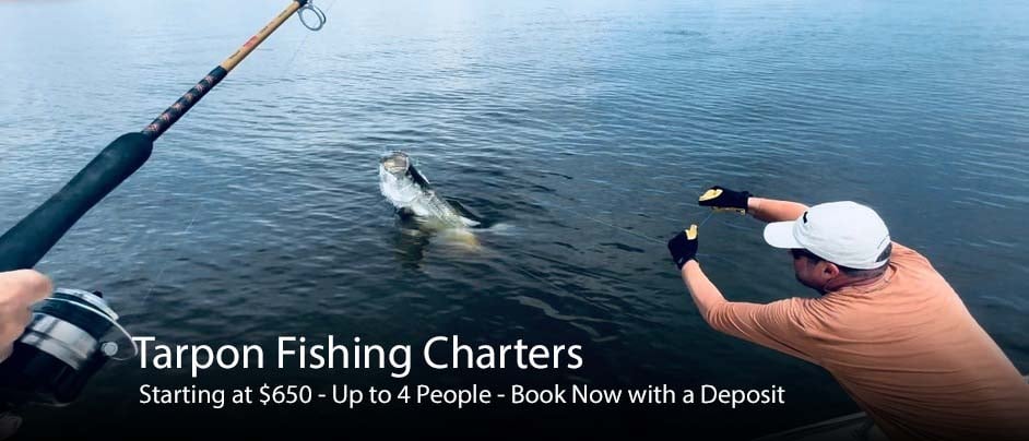 image describing myrtle beach tarpon fishing charters including number of persons capacity, pricing, and booking information