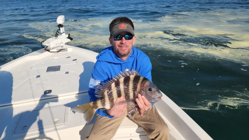 fisherman with sheepshead in little river, south carolina